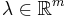 \lambda \in \mathbb{R}^{m}