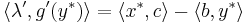 \langle \lambda', g'(y^*) \rangle = \langle x^*, c \rangle - \langle b, y^* \rangle